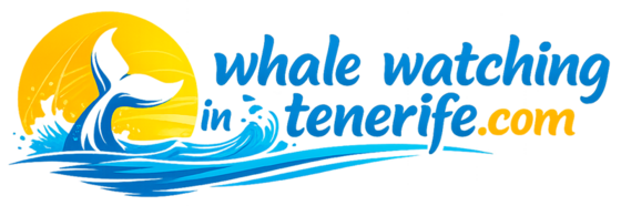 Whale Watching in Tenerife