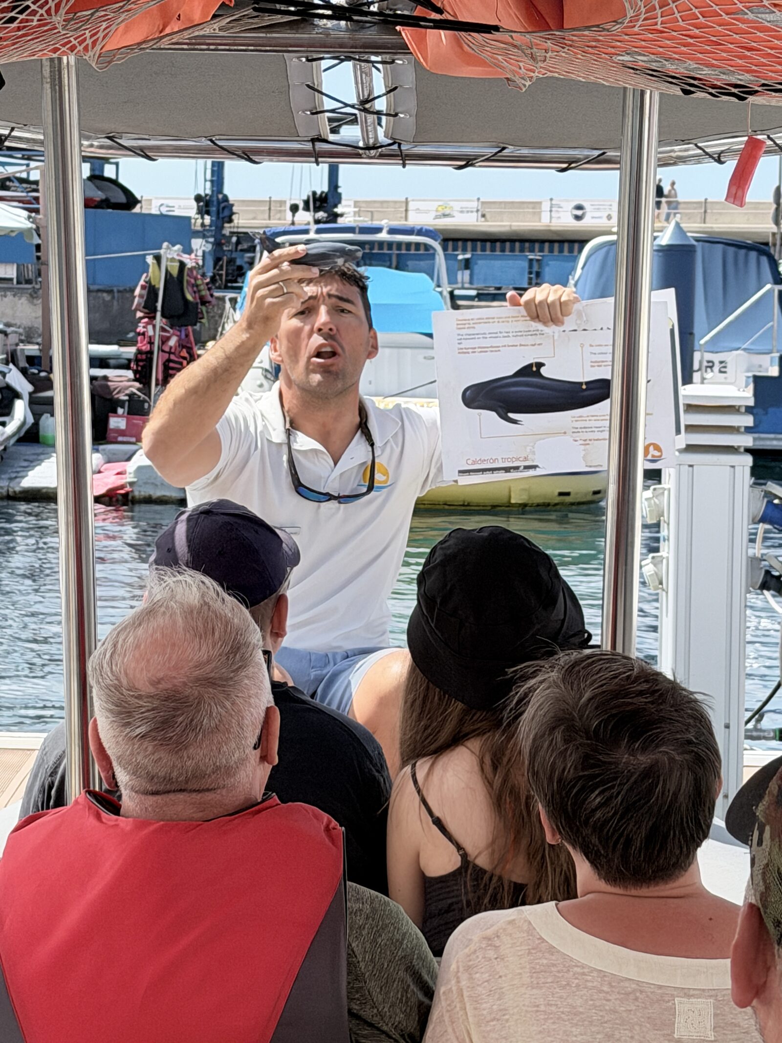 Marine biologist briefing guests on board a whale watching boat in Tenerife
