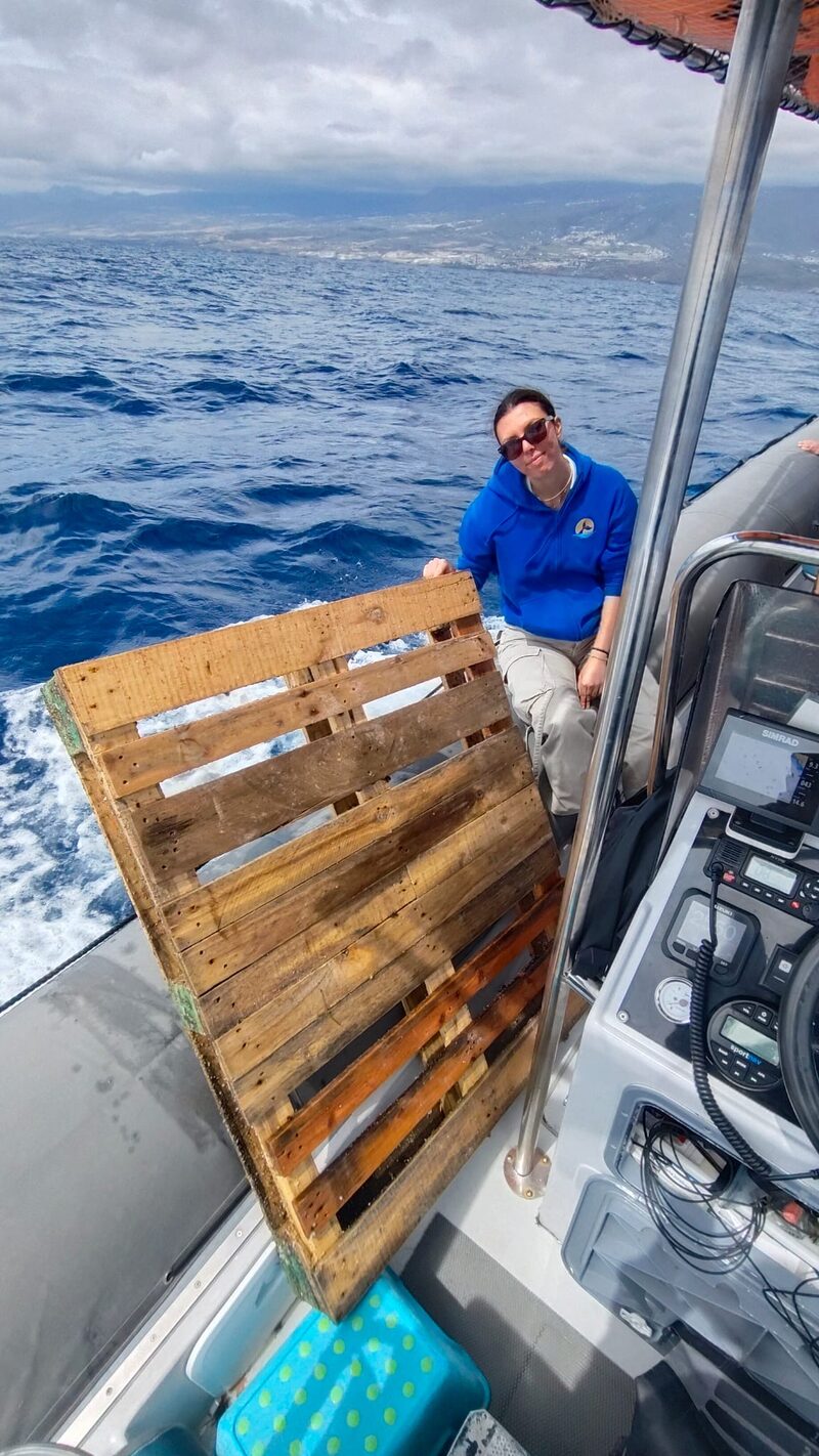 Marine debris recovered from the sea during a whale watching trip in Tenerife