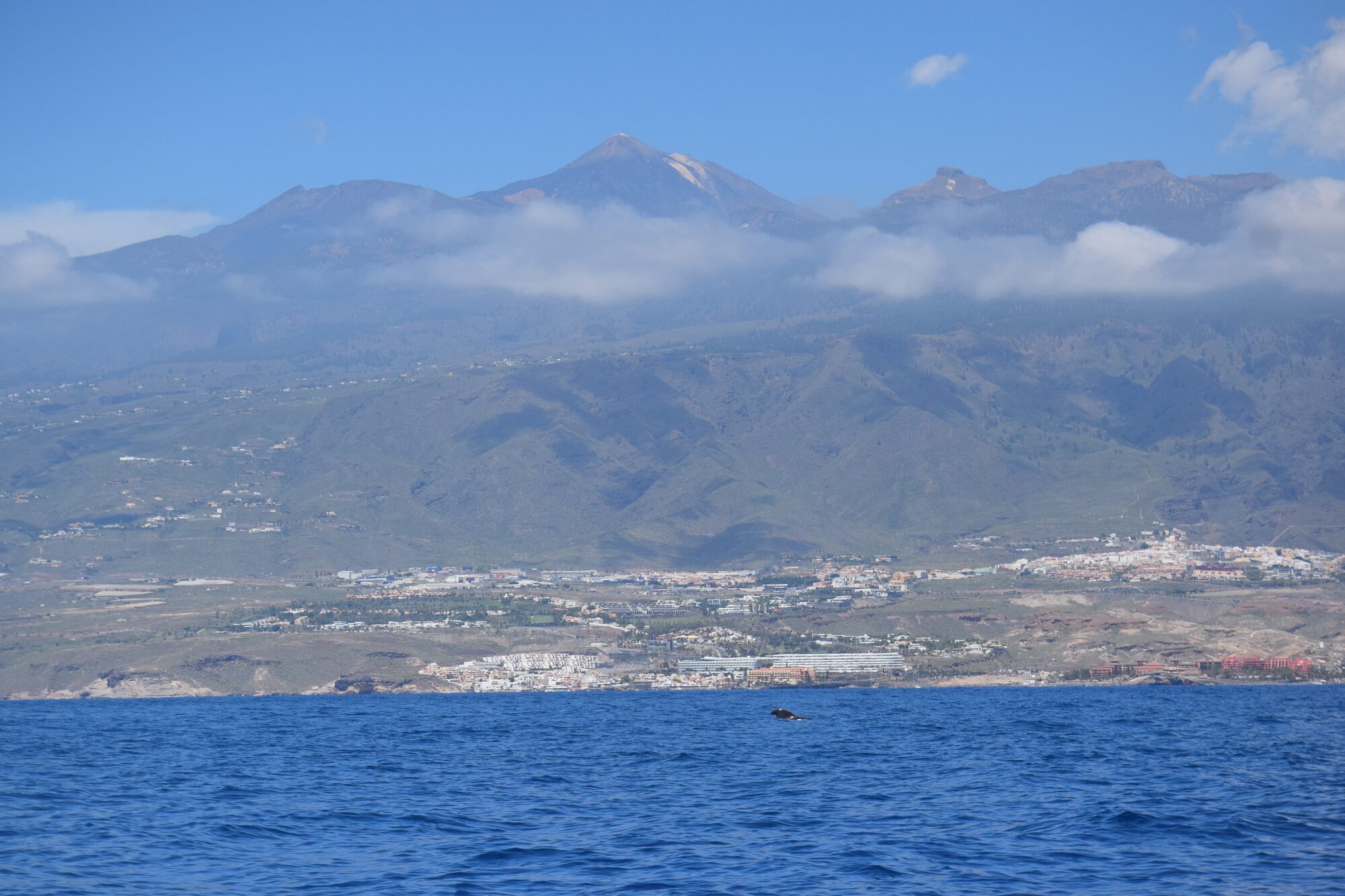 Mount Teide seen from a boat off the south coast of Tenerife